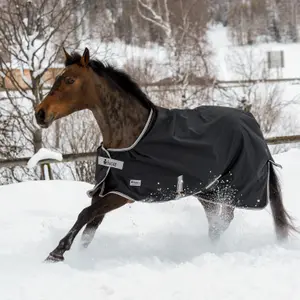 43015-04-wasserdichte-outdoor-decke-fur-pferde-bucas-anniversary-turnout-0g-schwarz-silber