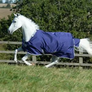 Neck Rug Bucas Atlantic Combi 50g image-2