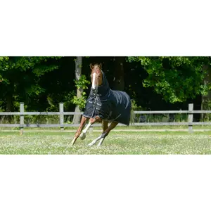 Couverture d'extérieur pour cheval imperméable avec couvre-cou Bucas Trot Turnout 200g image-0