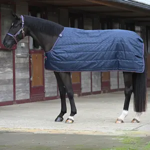 Udendørs dækken til heste Bucas Therapy Liner 150g image-1