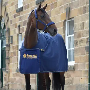 Outdoor  Blanket Bucas Panel Prize Cooler 145g image-1