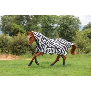 Αξεσουάρ για κουβέρτα αλόγου Bucas Zebra image-0