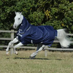 Outdoor paardendeken Bucas Freedom Turnout Light
