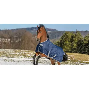 Weatherproof outdoor horse rug with high neck Bucas Freedom Turnout 150g