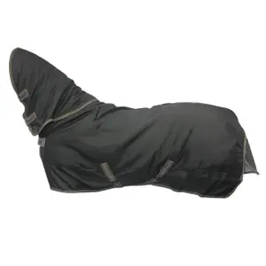 Manta para cavalos ao ar livre Bucas Freedom Turnout 300g image-0