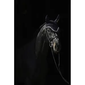 Orejeras para caballo anti moscas Bucas image-0