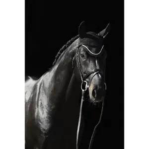 Orejeras para caballo anti moscas Bucas image-1