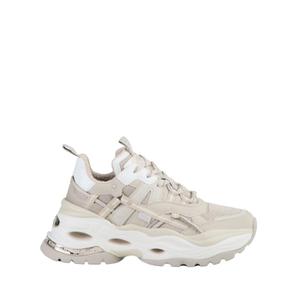 Trenerzy damscy Buffalo Triplet Hollow