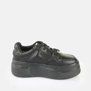 Trenerzy damscy Buffalo Besu image-1