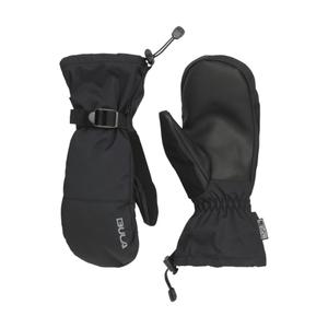 713148-black-skidvantar-bula-frame-svart