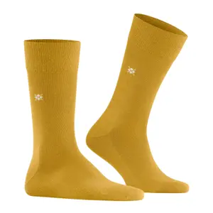 Socken Burlington Leeds image-0