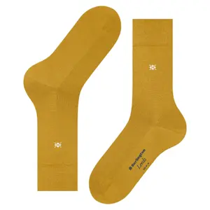 Socken Burlington Leeds image-2