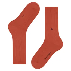 Meias Burlington Boston image-0