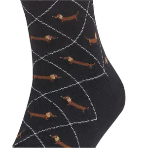 Socks Burlington Dachshund image-4