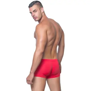 Boxer bath Bwet Brighton image-2