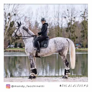 Combined anatomic noseband bridle Jump'In Friday image-5