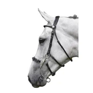 Combined anatomic noseband bridle Jump'In Hackamore image-0