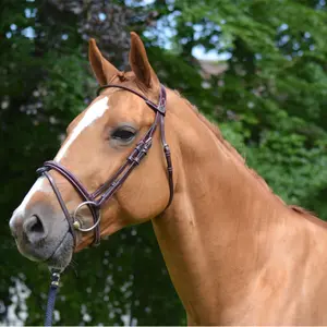 Combined anatomic noseband bridle Jump'In Monday image-5