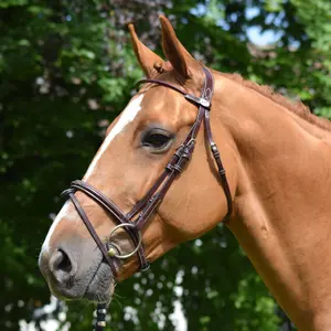 Combined anatomic noseband bridle Jump'In Monday image-2