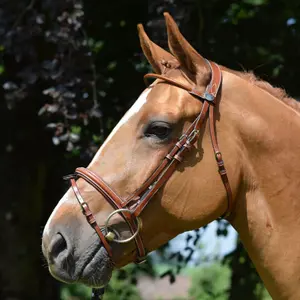 Combined anatomic noseband bridle Jump'In Monday image-1