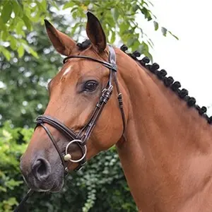Combined anatomic noseband bridle Jump'In Monday image-3