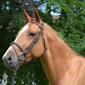 Combined anatomic noseband bridle Jump'In Monday image-4