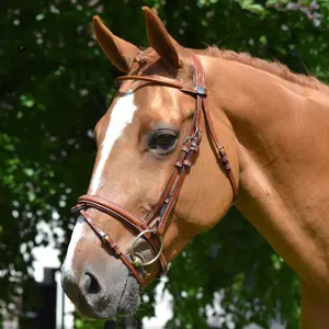 Combined anatomic noseband bridle Jump'In Monday image-5