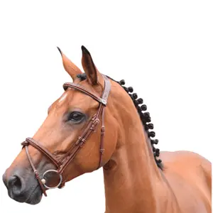 Combined anatomic noseband bridle Jump'In Thursday image-0