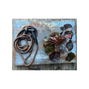 Slange By Benson Deluxe image-2