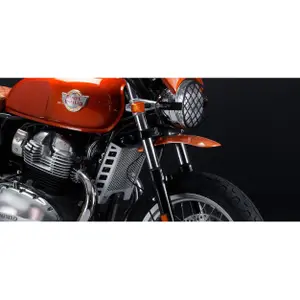 Radiator Grille Guard C-Racer Royal Enfield 650 image-1