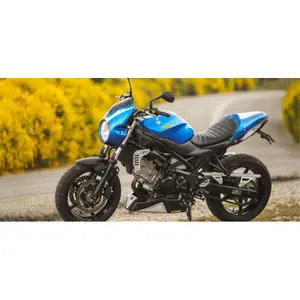 Protection grille de radiateur moto C-Racer Suzuki Sv 650 image-1