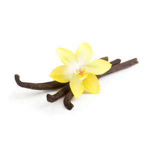 Galletas de vainilla naturales Stay'Activ image-1