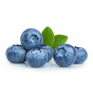 Galletas de arándanos confitadas Stay'Activ image-1