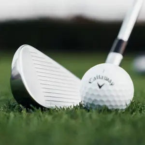 Right-Handed Iron Set Callaway Quantum Max OS Regular True Temper Denali Frost Silver 60 Graphite 6>PW (5 fers) image-6