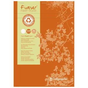 Blocco note di 200 pagine con intestazione a punti metallici, quadratini Calligraphe Forever A4 image-0