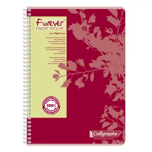 Cahier reliure intégrale A4 180 pages petits carreaux Calligraphe Forever image-0