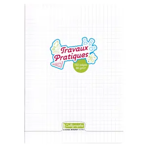 Practical notebook, piqué a4, 192 pages, large squares, plain Calligraphe 8000 Polypro