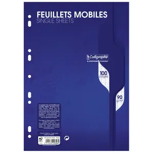 Ruchomy arkusz w folii a4, 100 perforowanych stron, duże kwadraty, seyes Calligraphe Ligne 7000 90g