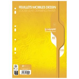Feuille mobile dessin scolaire sous film A4 80 pages perforées uni Calligraphe Ligne 7000