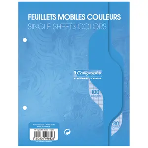 Feuillets mobile sous film 100 pages perforées 2 trous grands carreaux Calligraphe 7000 image-0