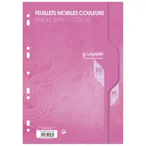 100 páginas perforadas, cuadros grandes, hojas sueltas en película a4 Calligraphe 7000 image-0
