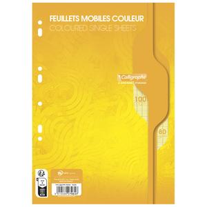 100 perforowanych stron, duże kwadraty, luźne kartki w folii a4 Calligraphe 7000