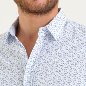 Chemise manches longues à imprimé fantaisie popeline rayée Camberabero Fantaisie image-1