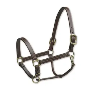 Leather halter for horses Camelot