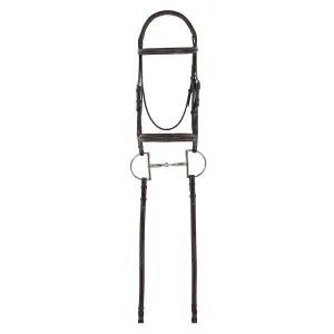 Bridles for horses Camelot System Fancy