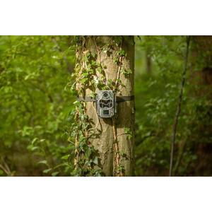 Überwachungskamera Camouflage EZ2 Ultra image-4