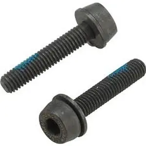 Vis étrier de frein pour montage arrière Campagnolo 15 - 19 mm (x2) image-1