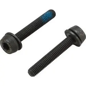 Vis étrier de frein pour montage arrière Campagnolo 15 - 19 mm (x2) image-0