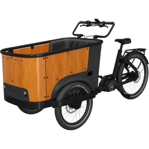 cb-u24001-elektrofahrrad-cangoo-buckle-up-schwarz-holz-tu