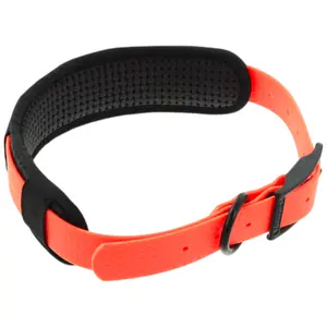 Adjustable PVC Dog Collar with Padded Waffle Design Canihunt